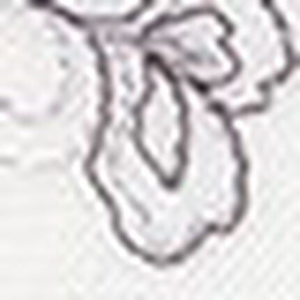 ショーツ, , swatch