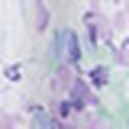 綿１００％　ダブルガーゼのパジャマ, , swatch