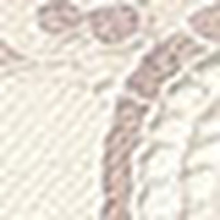 Ｔバックショーツ, , swatch