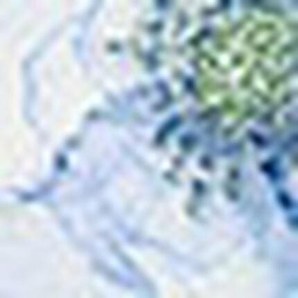 Ｔバックショーツ, , swatch