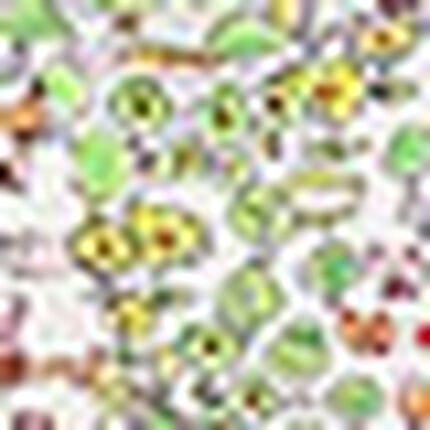 ワンピース, , swatch