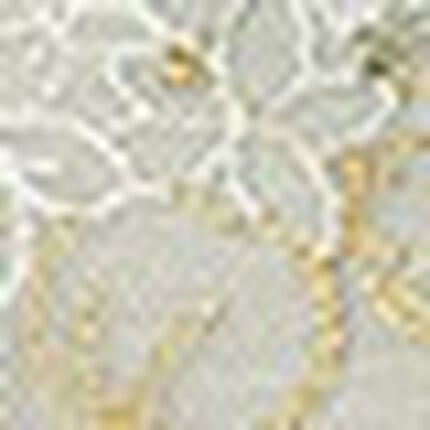 Ｔバックショーツ, , swatch