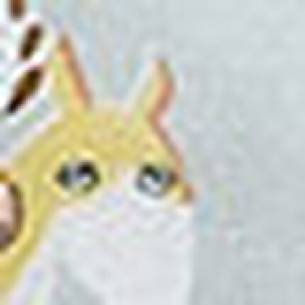 ノンワイヤーブラ, , swatch