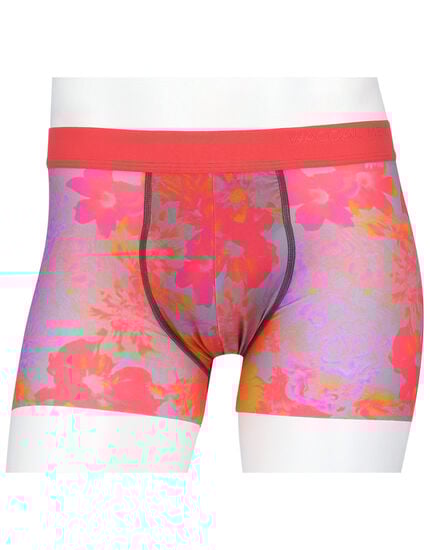 ボクサーパンツ（前閉じ）, , main