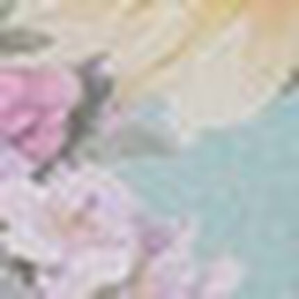 Ｔバックショーツ, , swatch