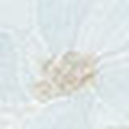 ブラ＆ショーツセット, , swatch