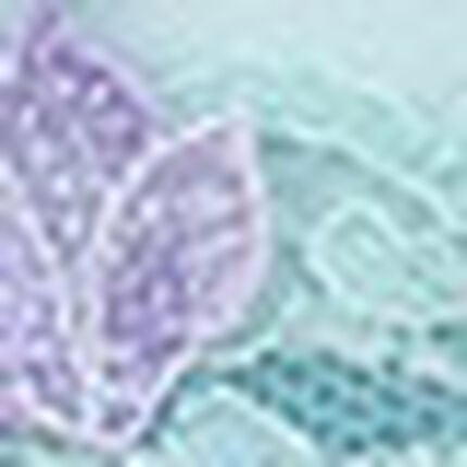 ボーイレングスショーツ, , swatch