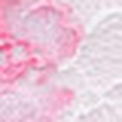 Ｔバックショーツ, , swatch