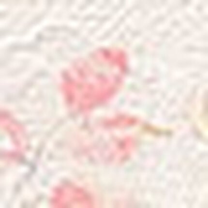 ショーツ, , swatch