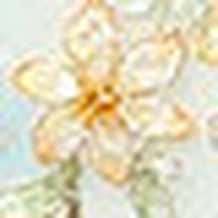 ショーツ, , swatch