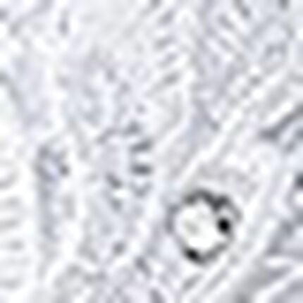 ３／４カップブラ, , swatch