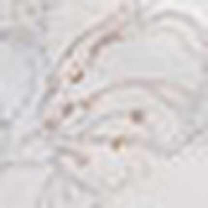 ブラ＆ショーツセット, , swatch