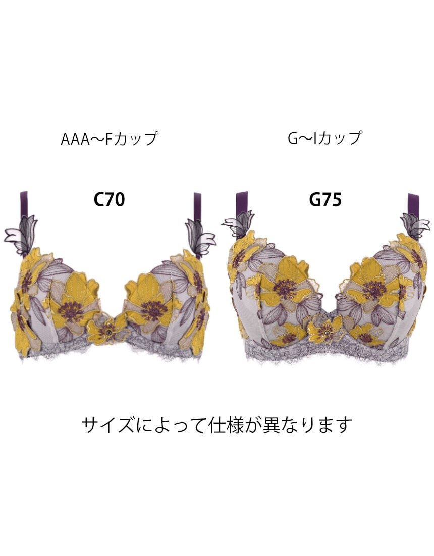 ワコールサイズオーダー／My Size Collection 3／4カップブラ BKD483