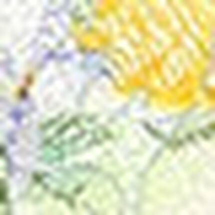 ３／４カップブラ（ノンワイヤーブラ）, , swatch