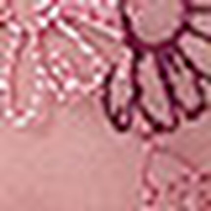 Ｔバックショーツ, , swatch