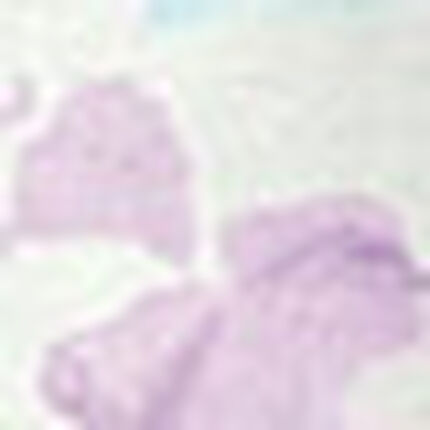 カップ付きプリントトップス, , swatch