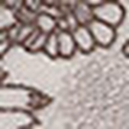 ショーツ, , swatch