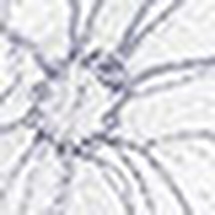 ブラ＆ショーツセット, , swatch