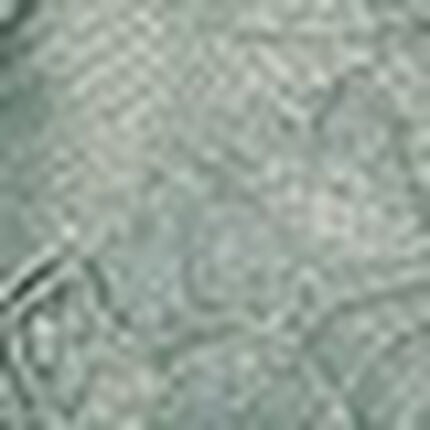 ボーイレングスショーツ, , swatch