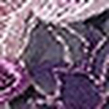 Ｔバックショーツ, , swatch