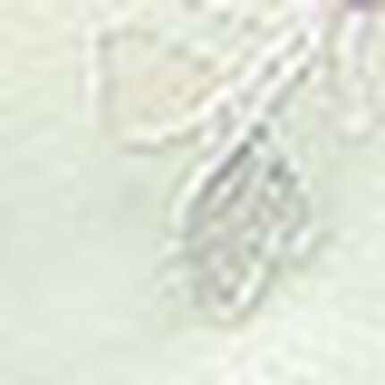 Ｔバックショーツ, , swatch