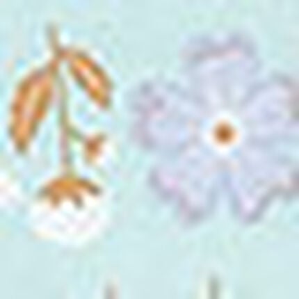 パジャマ, , swatch