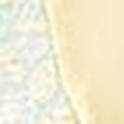 ショーツ, , swatch