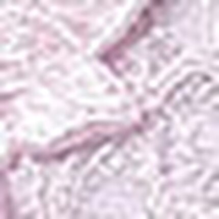 ショーツ, , swatch