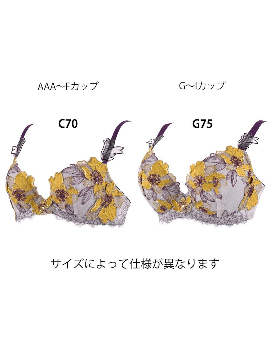 ワコール ワコールサイズオーダー／My Size Collection 3／4カップブラ BKD483