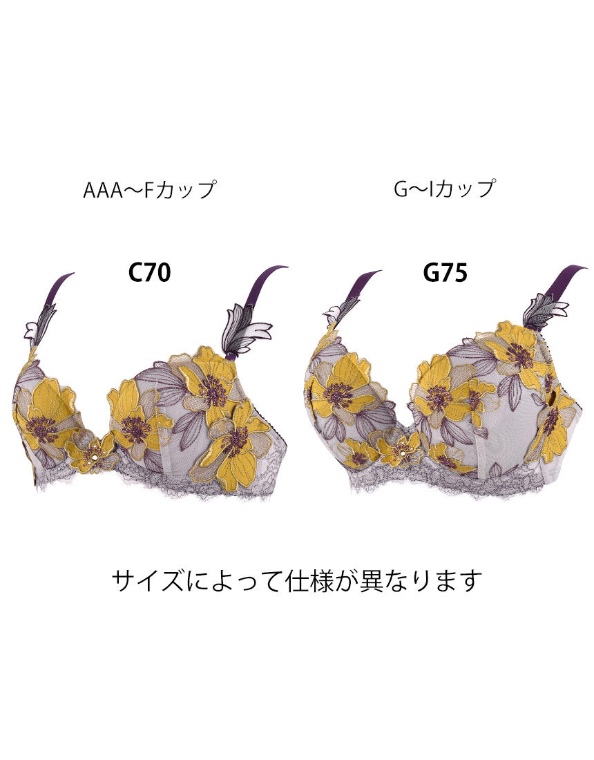 ３／４カップブラ, , hi-res