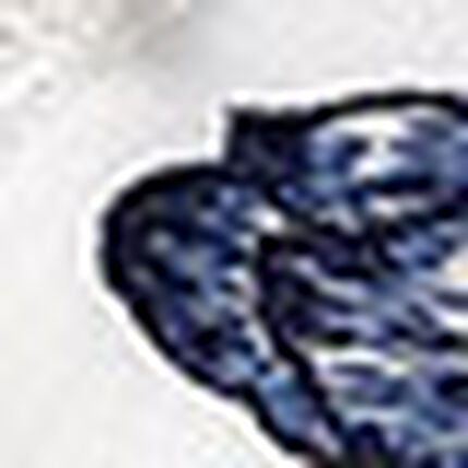 ショーツ, , swatch