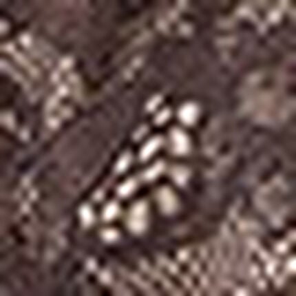 ショーツ, , swatch