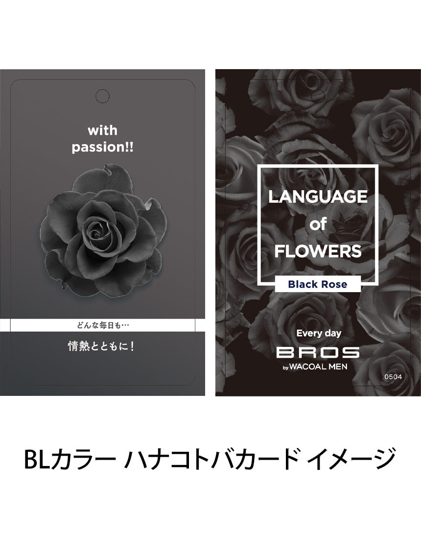 メンズボクサーパンツ, , hi-res