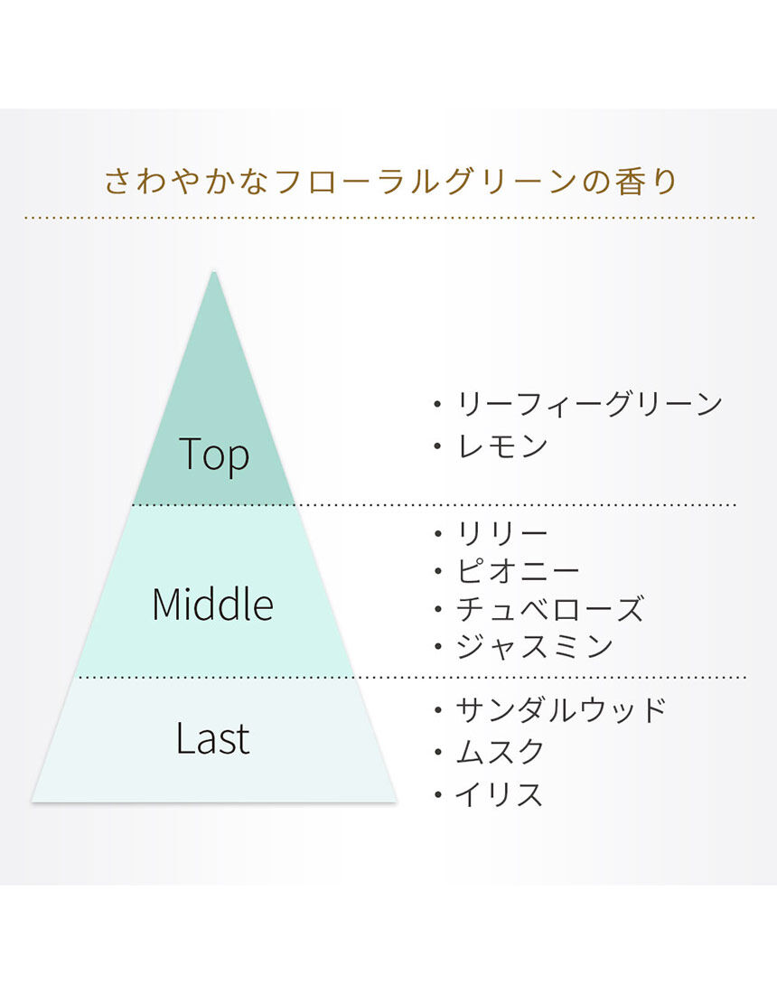 ダメージケア　トリートメント　ｎ, , hi-res
