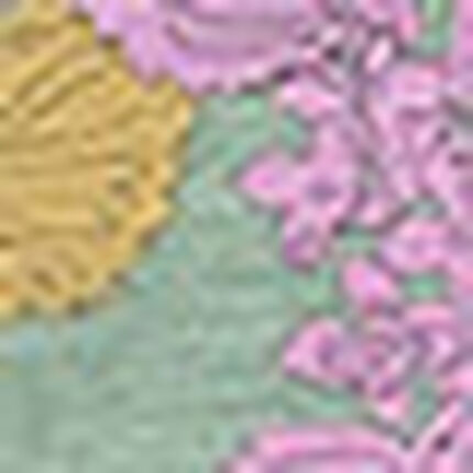 ワンピース, , swatch