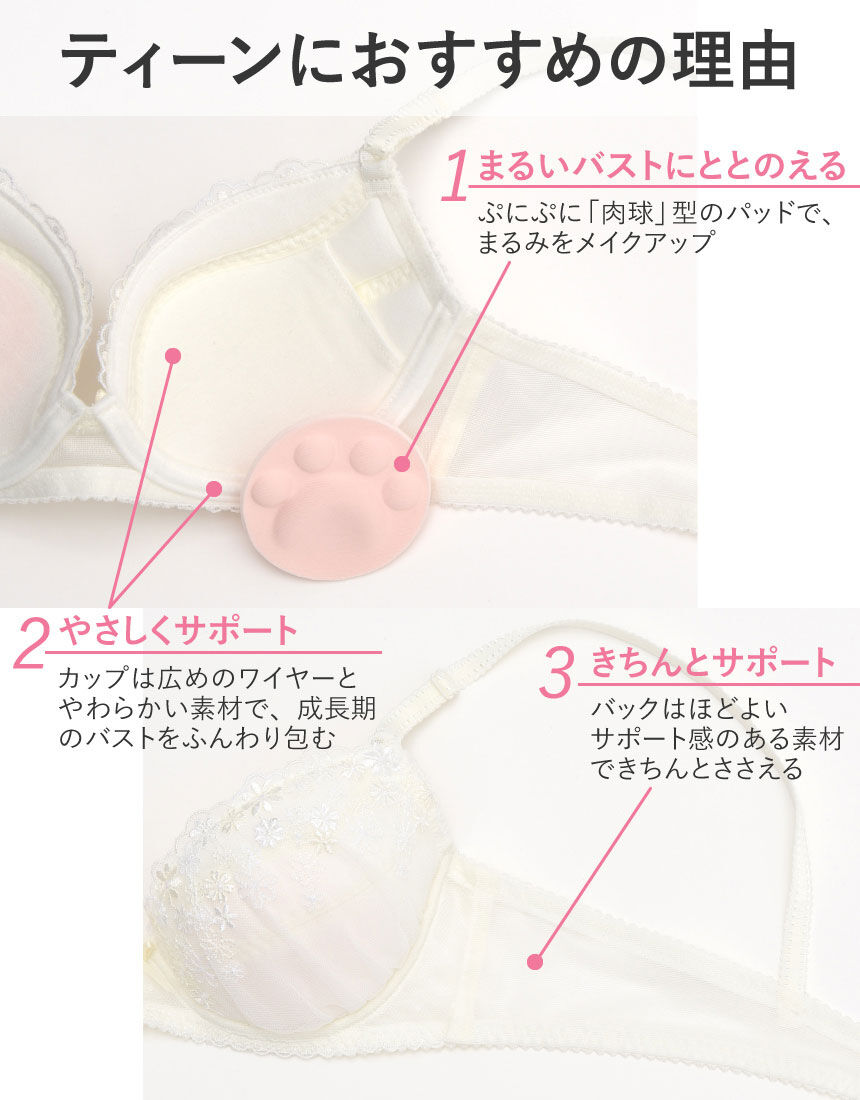 ウイング/ティーン 丸くボリュームが出てきた胸に(ワイヤ―入り ウイング/ティーン 丸くボリュームが出てきた胸に(ワイヤ―入り