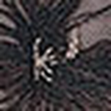 Ｔバックショーツ, , swatch