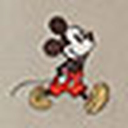 スウェット, , swatch