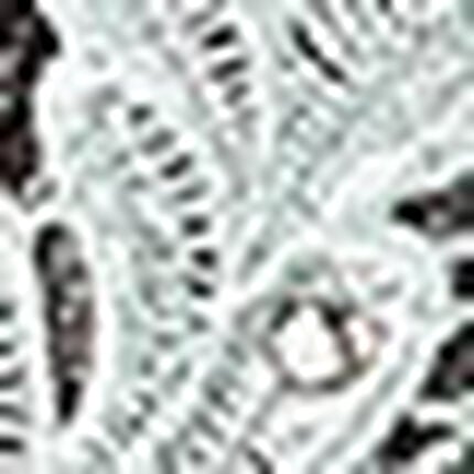 フルカップブラ, , swatch