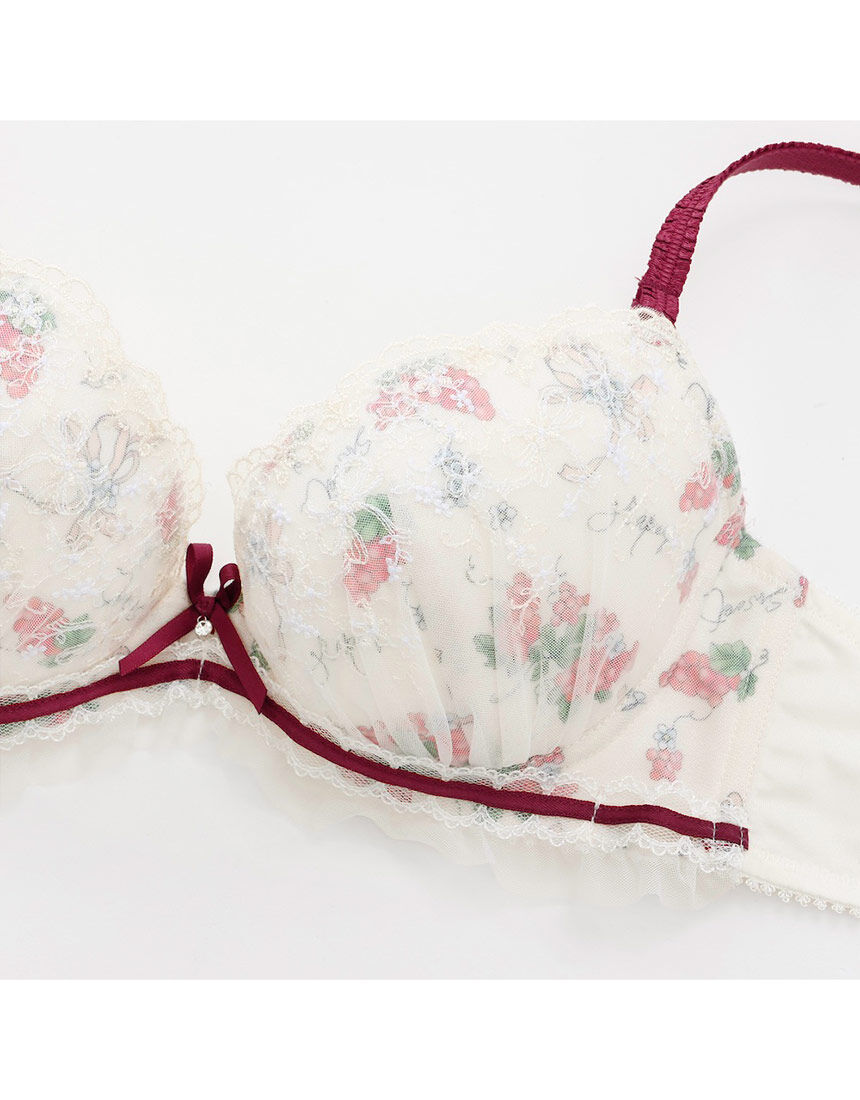 Lingè Noël ランジェノエル レザンリュバン ブラ＆ショーツセット