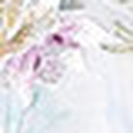 スリップ, , swatch