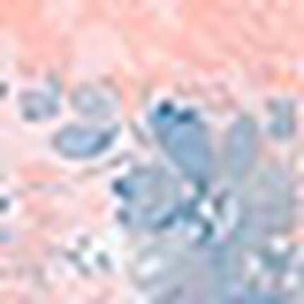 ネグリジェ, , swatch