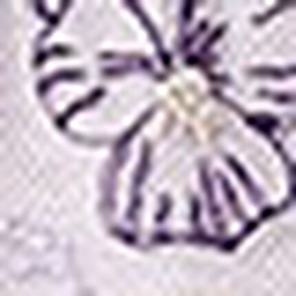 サニタリーショーツ, , swatch