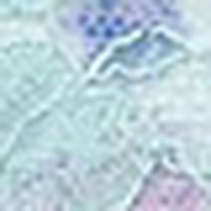 Ｔバックショーツ, , swatch