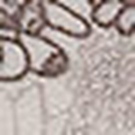 Ｔバックショーツ, , swatch