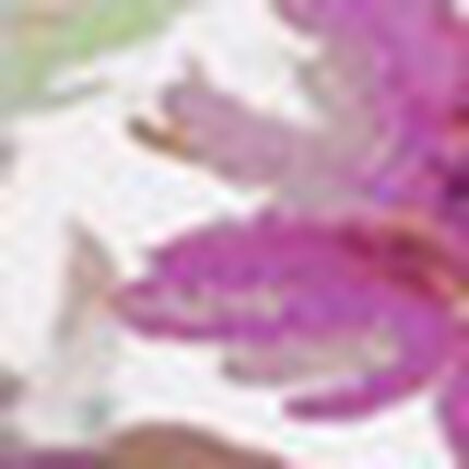 フルカップブラ, , swatch