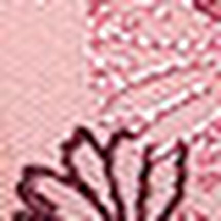 ３／４カップブラ（ノンワイヤーブラ）, , swatch