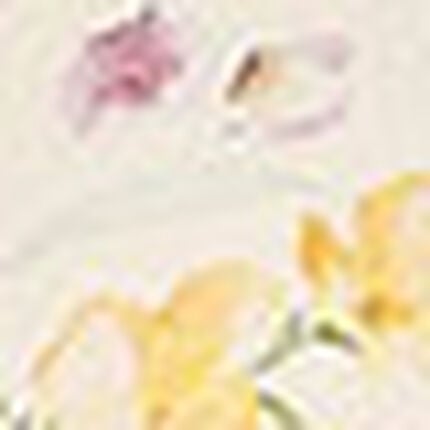 ボディシェイパー, , swatch