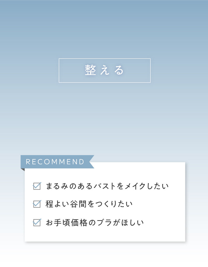 ワイヤーブラ（３／４カップ）, , hi-res