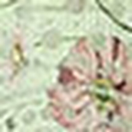 ショーツ, , swatch